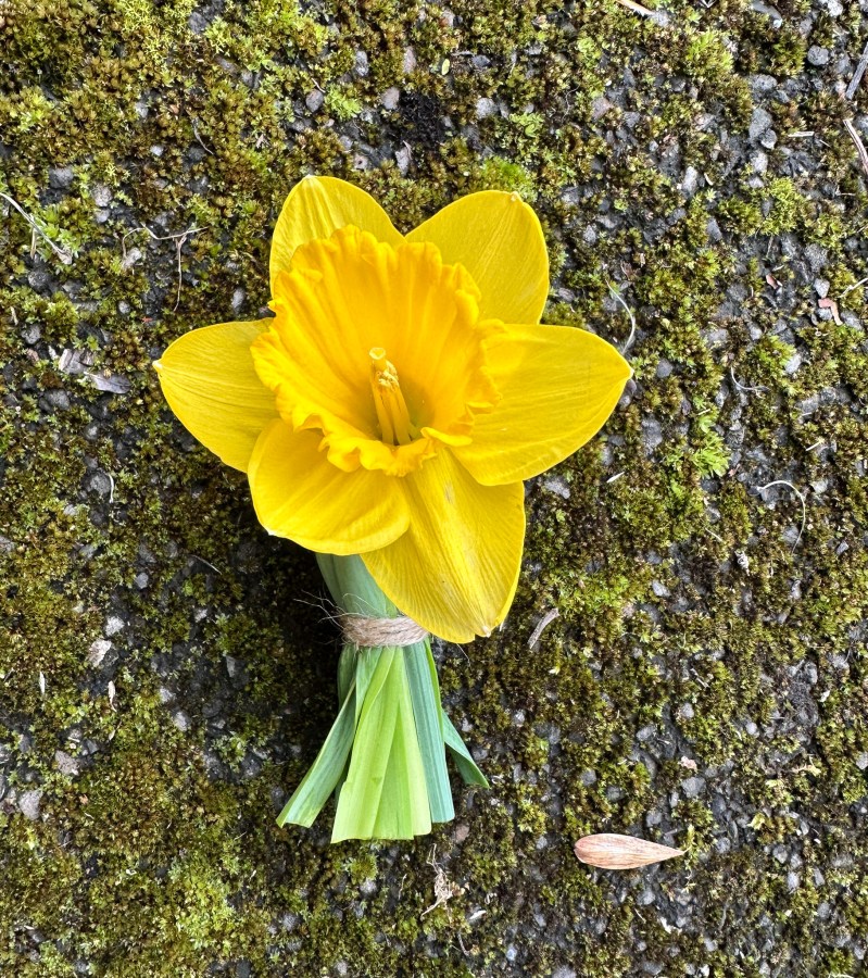 Blumengalerie-Shop-Hochzeit-Frühling- Anstecker-Hochzeitspacket.jpg